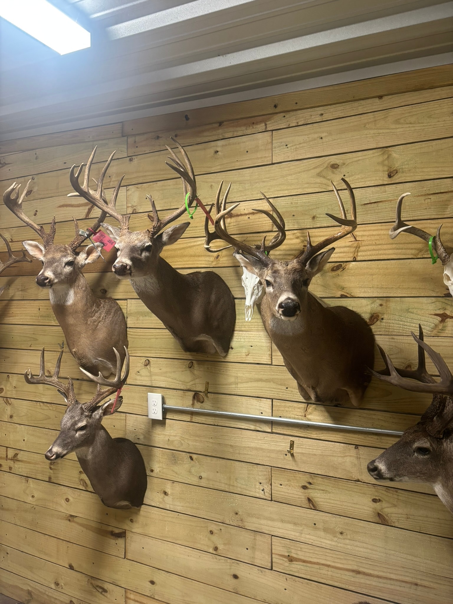 Shoulder Mounts — Wide Shot